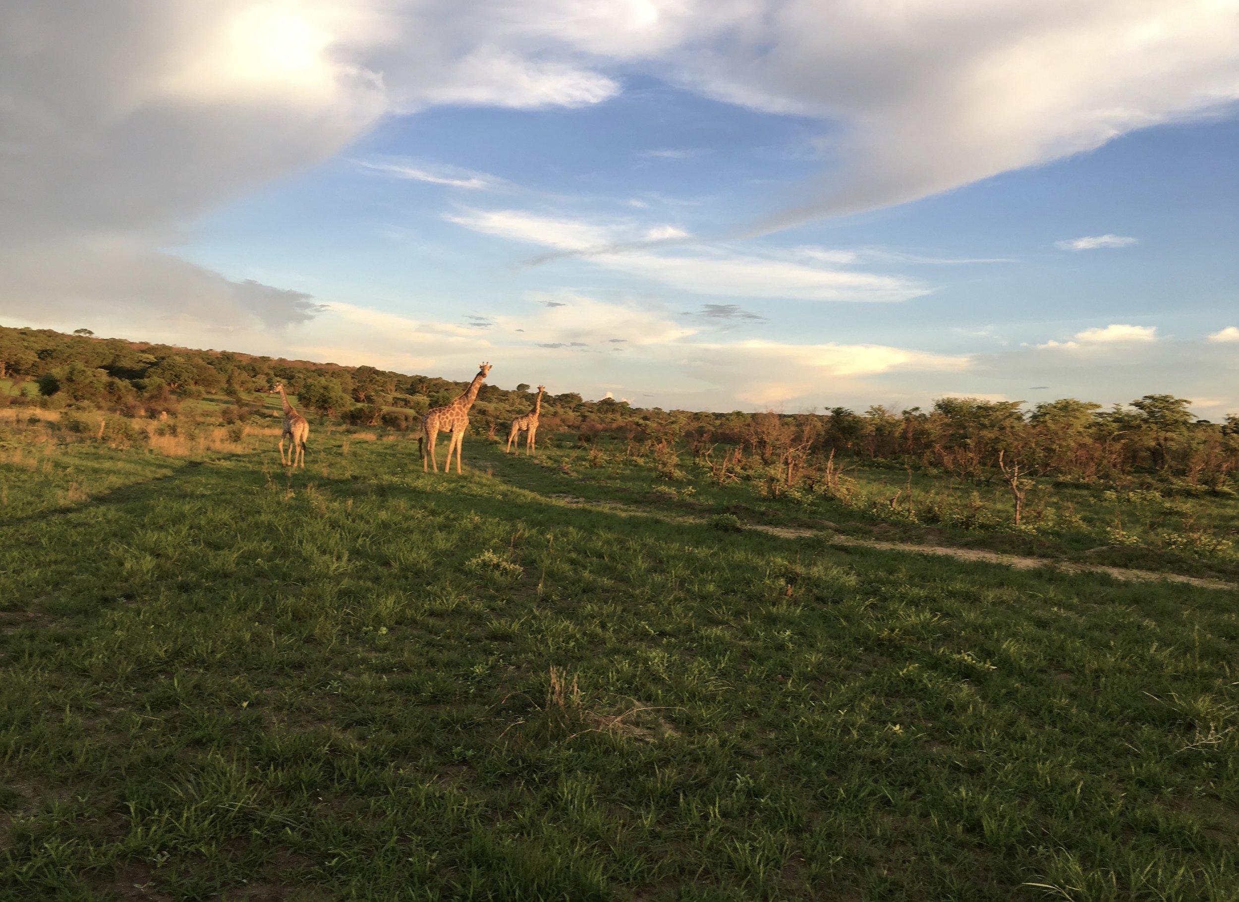 Voyage en Afrique du sud et chutes victoria