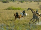 Safari à Cheval au Bostwana - Afrique Sur Mesure