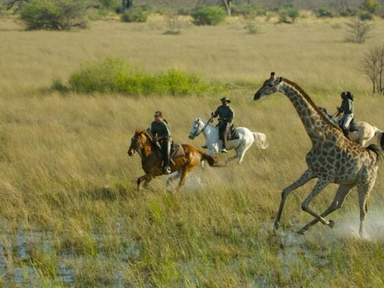 Safari à Cheval au Bostwana - Afrique Sur Mesure