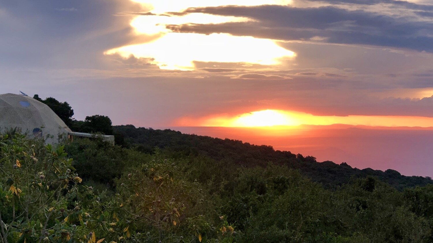 Safari Tanzanie : votre Safari Tanzanie de Luxe sur Mesure